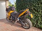 Triumph tiger 1050, Motoren, Motoren | Triumph, 3 cilinders, Particulier, 1050 cc, Meer dan 35 kW