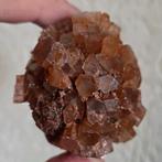 Aragoniet roos, Ophalen of Verzenden