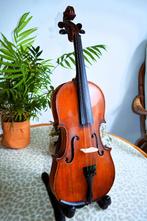Viool 4/4 zoldervondst opgeknapt, Muziek en Instrumenten, Strijkinstrumenten | Violen en Altviolen, 4/4-viool, Gebruikt, Met koffer
