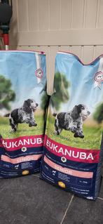 Eukanuba Senior medium hondenvoer, Dieren en Toebehoren, Ophalen, Hond