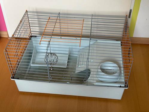 Cavia kooi voor binnen GRATIS, Dieren en Toebehoren, Knaagdieren en Konijnen | Hokken en Kooien, Gebruikt, Kooi, Minder dan 60 cm