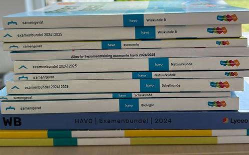 Examenbundels 2025 en samengevat havo, Boeken, Schoolboeken, Zo goed als nieuw, HAVO, Ophalen of Verzenden
