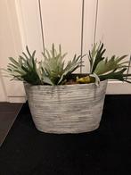 Bloempot binnen, Tuin en Terras, Bloempotten, Rond, Binnen, Ophalen of Verzenden, Zo goed als nieuw