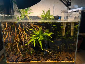 Aquarium- superfish scaper 45 beschikbaar voor biedingen