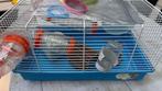 Hamsterkooi met toebehoren, Minder dan 60 cm, Kooi, Gebruikt, Minder dan 75 cm