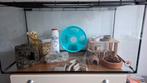 Hamsterterrarium., Dieren en Toebehoren, Gebruikt, 75 tot 110 cm, Ophalen, Minder dan 60 cm