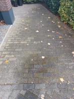 witte betonklinkers,  ongeveer 12m2, Ophalen, Gebruikt, Beton, Klinkers