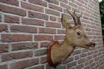 Prachtig opgezet herten kopje met een groot gewei, Ophalen of Verzenden, Zo goed als nieuw, Hert, Opgezet dier