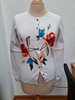 Twinset, Sey Studio,  mt. S (nieuw), Kleding | Dames, Truien en Vesten, Ophalen of Verzenden, Nieuw, Maat 36 (S)