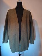 Vest Gebreid Groen Hema Maat L, Anneonline, Zuidwal 11, Shop@wesell4u.nl, Maat 42/44 (L)