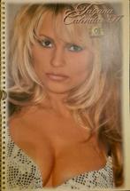 Bavaria Tatjana kalender '97, Verzamelen, Posters, Ophalen of Verzenden, Zo goed als nieuw, Reclame
