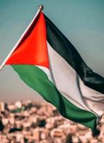 ACTIE!! NIEUW XL Palestina Palestijnse GAZA vlag, Ophalen of Verzenden, Nieuw