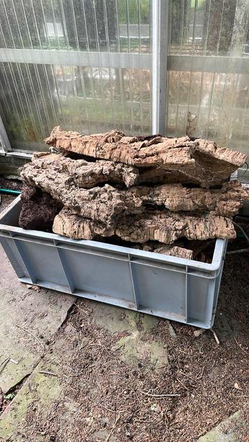 Terrarium hout en kurk voor hagedissen en slangen beschikbaar voor biedingen