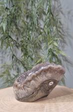 ~Regenboog~ Amethist variant Sale*, Ophalen of Verzenden