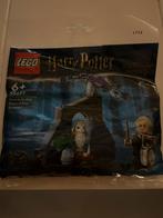 LEGO Harry Potter Draco in het Verboden Bos (30677), Ophalen of Verzenden, Nieuw, Complete set, Lego