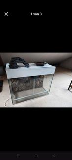 Terrarium, Ophalen, Zo goed als nieuw