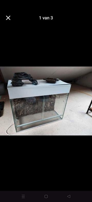 Terrarium beschikbaar voor biedingen