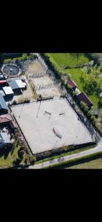 Fijne pensionplek 24/7 buiten met inloopstal, Dieren en Toebehoren, Stalling en Weidegang, Weidegang
