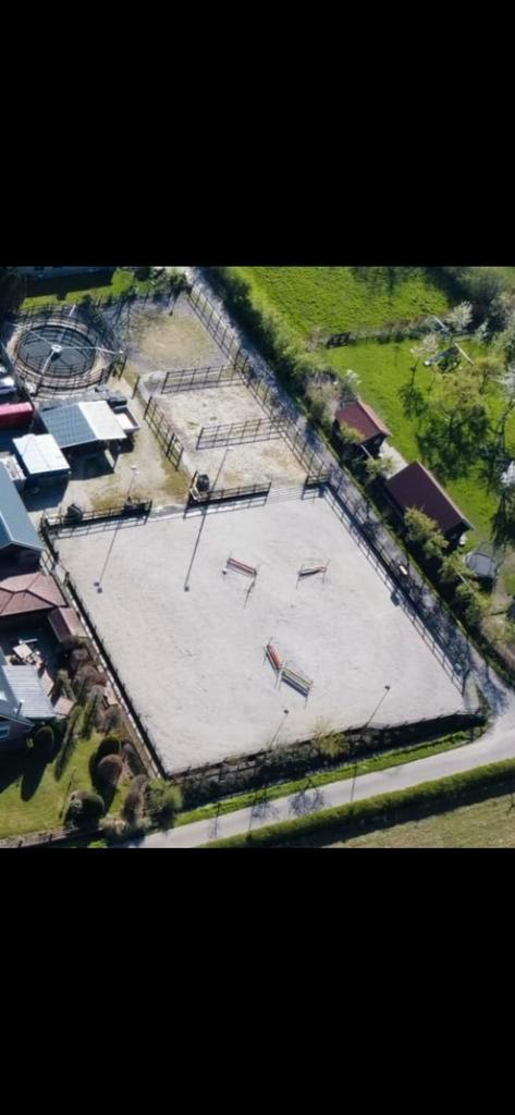 Fijne pensionplek 24/7 buiten met inloopstal, Dieren en Toebehoren, Stalling en Weidegang, Weidegang