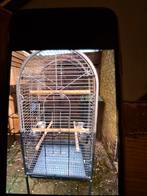 Papegaaien kooi, Ophalen of Verzenden, Zo goed als nieuw, Metaal, Vogelkooi