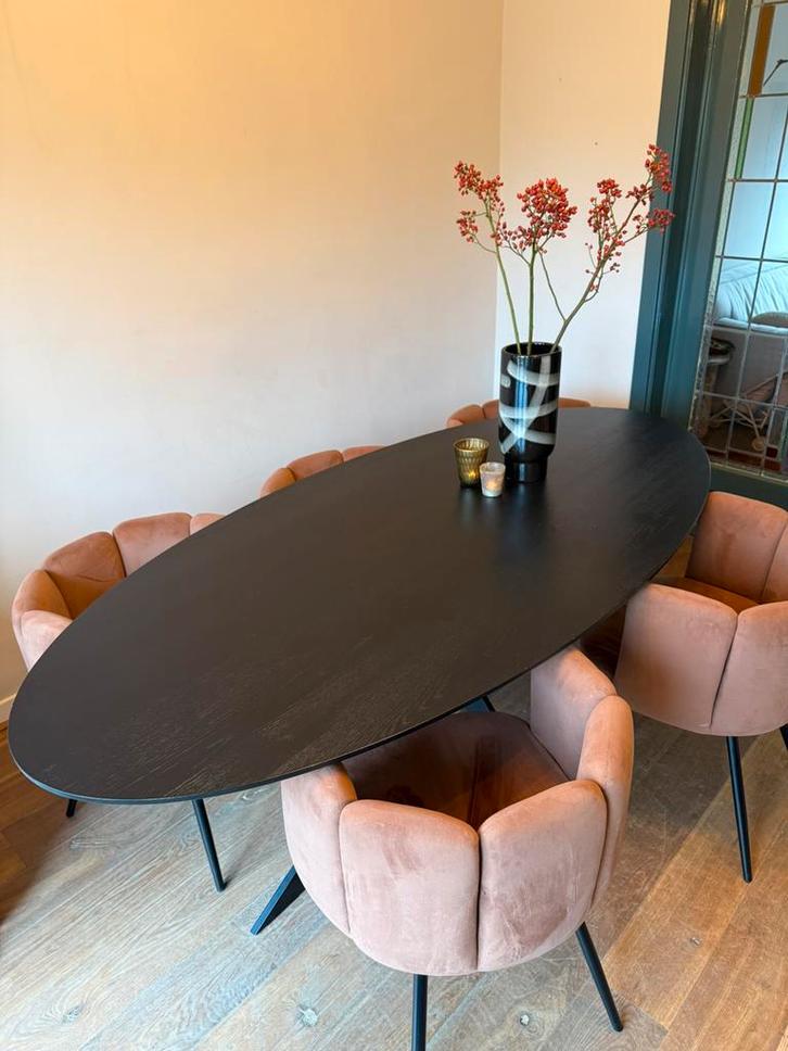 Ovale eettafel Kas20  210x100, Huis en Inrichting, Tafels | Statafels, Gebruikt, Ophalen