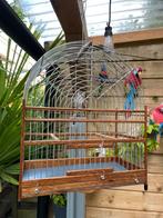 Picolet kooi ( nieuw), Dieren en Toebehoren, Meerdere dieren, Tropenvogel