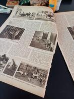 Artikel over Burgers dierenpark Villa Buitenlust 1916, Ophalen of Verzenden, Voor 1920, Knipsel(s)