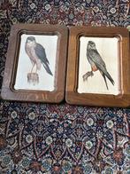 Roofvogels schilderijen plavuizen alle 2 voor 30 euro, Steen of Klei, 50 tot 150 cm, Ophalen of Verzenden, Zo goed als nieuw