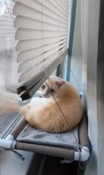 Kattenhangmat voor aan het raam / Khaki, Dieren en Toebehoren, Kattenmanden, Ophalen, Nieuw