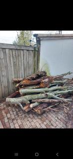 Boomtakken, verschillende hout,stookhout, Minder dan 3 m³, Ophalen of Verzenden