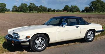 Jaguar  xjsc 1987 Wit perfekt gebrachte staat beschikbaar voor biedingen