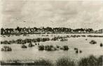 Dwingeloo. Meeuwenkolonie, Ophalen of Verzenden, Gelopen, Drenthe