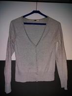 Dun grijs vest met knoopjes, H&M, Ophalen of Verzenden, Gedragen, Grijs