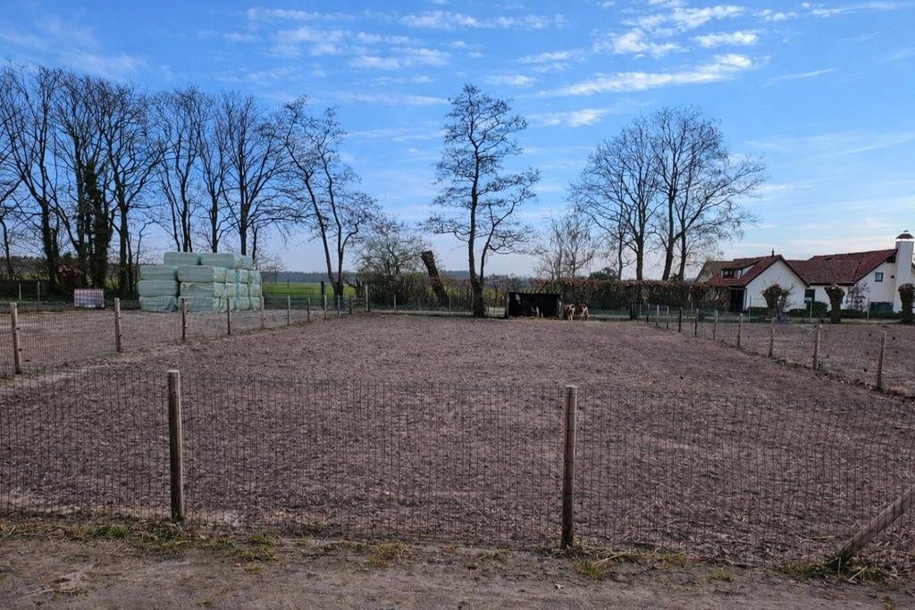 Ponyweide met inloopstal beschikbaar op onze kleinschalige, Dieren en Toebehoren, Stalling