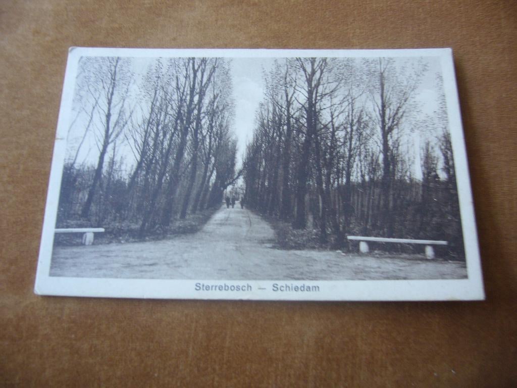 SCHIEDAM  =  STERREBOSCH   1926, Ophalen of Verzenden, 1920 tot 1940, Gelopen, Zuid-Holland