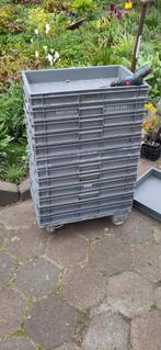 Kratten / Bakken 60*40*7 met dolly, Ophalen, Gebruikt, 40 tot 60 cm, 50 tot 75 cm