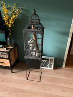 Kooi, Dieren en Toebehoren