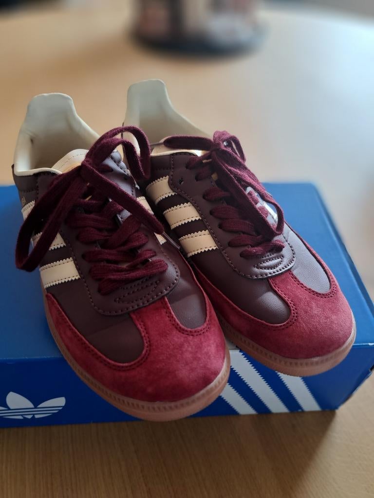 Adidas Samba maat 40 bordeaux rood crème, Adidas, Nieuw, Ophalen of Verzenden, Sneakers of Gympen