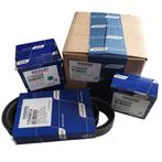 DAF SPANROL MET POLY-V RIEMSET 8-RIB (8PK) | 1706837, -, -, Nieuw, Motor en Toebehoren