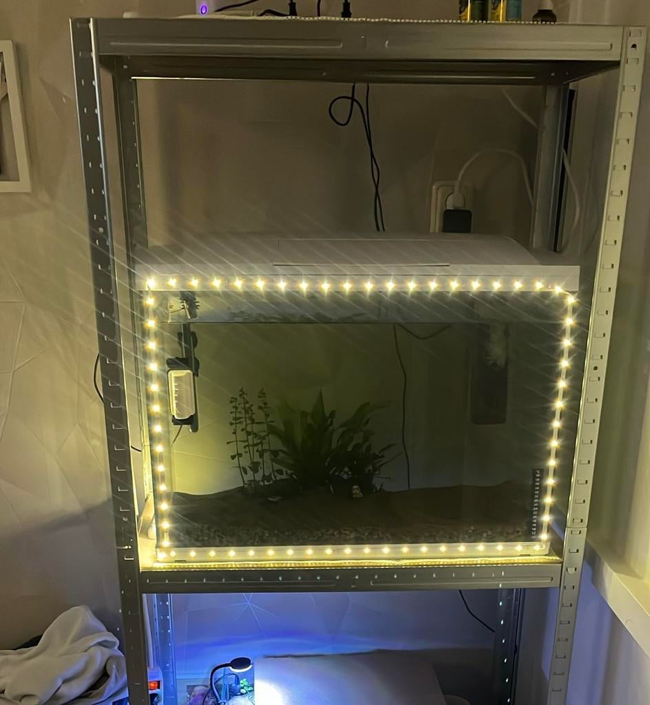 Aquarium moet weg!!, Dieren en Toebehoren, Vissen | Aquaria en Toebehoren, Ophalen, Zo goed als nieuw, Leeg aquarium