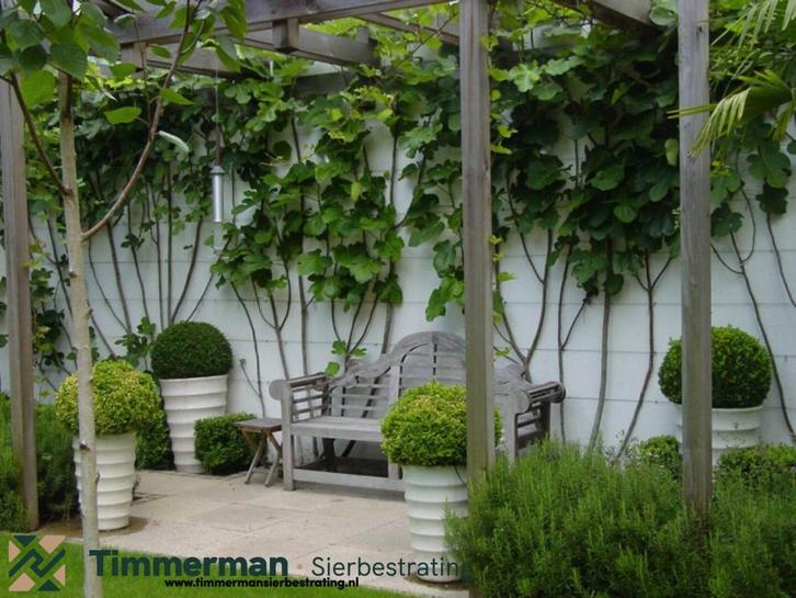 Tuintegel 60x60x4 Touched Elegante, Betontegel, Aanbieding, Tuin en Terras, Tegels en Klinkers, Nieuw, Terrastegels, Beton, Ophalen of Verzenden