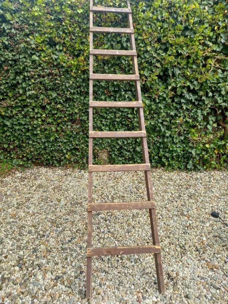 Houten Ladder, Ophalen, Ladder, 2 tot 4 meter