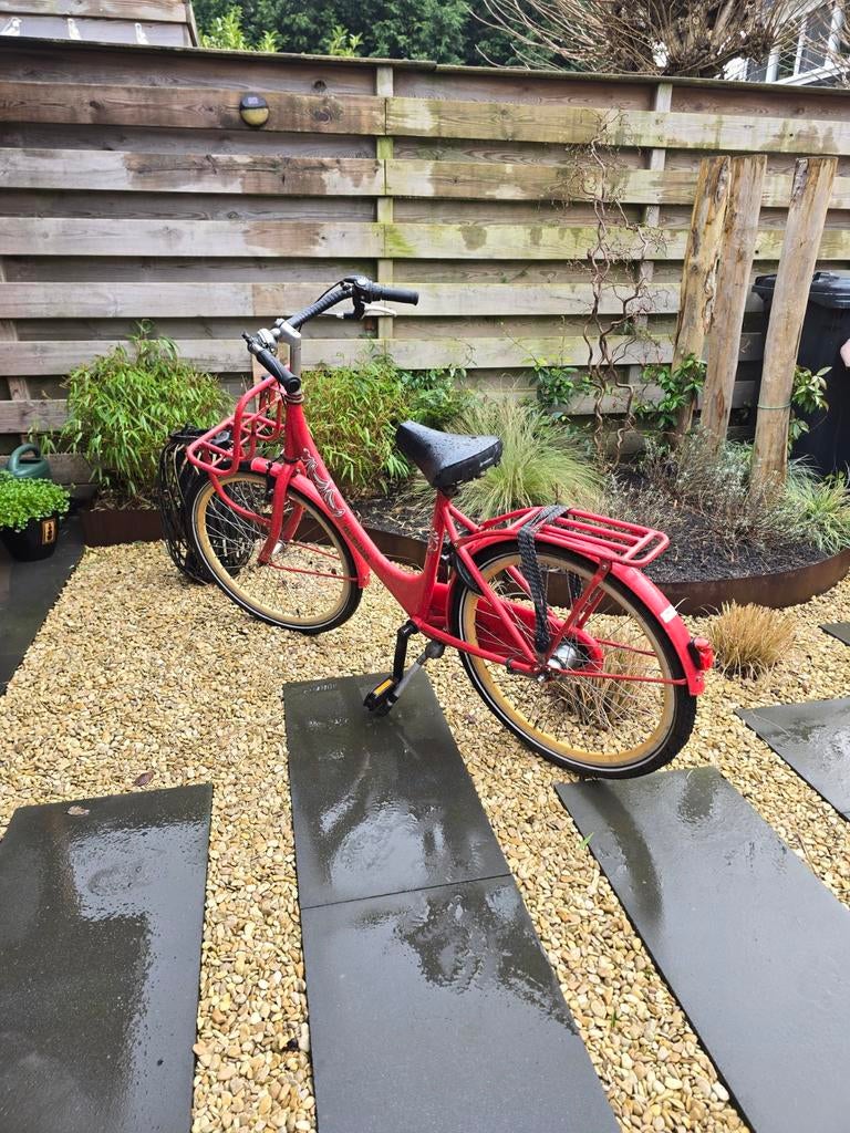 24inch alpina fiets met nieuwe banden, Fietsen en Brommers, Minder dan 47 cm, Ophalen of Verzenden, Staal