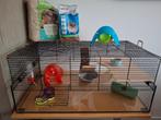 Hamsterkooi glas + tralies, Kooi, Gebruikt, Hamster, 75 tot 110 cm
