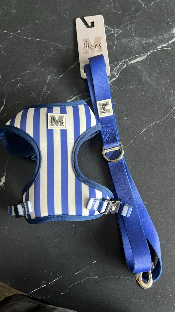 Honden tuigje met riem, Ophalen of Verzenden, Nieuw