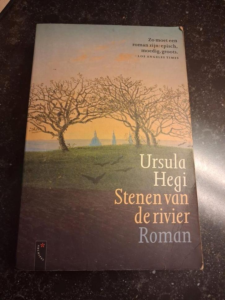 Ursula Hegi - Stenen van de rivier (Roman), Boeken, Romans, Gelezen, Europa overig, Ophalen of Verzenden