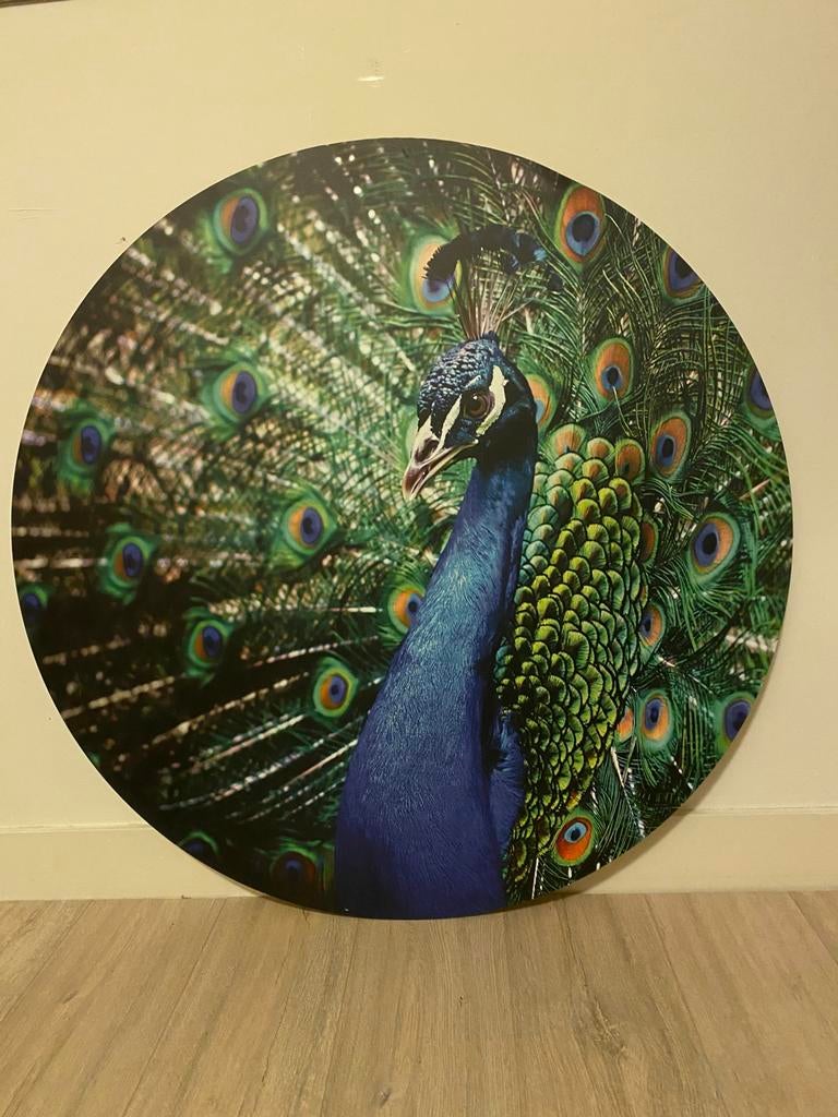 Wand decoratie Pauw, Huis en Inrichting, Ophalen of Verzenden, Zo goed als nieuw