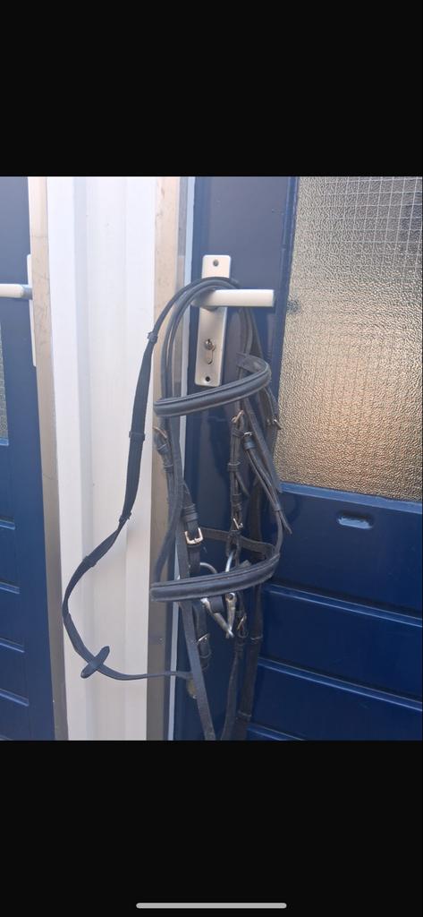 Hoofdstel maat pony, Ophalen of Verzenden, Nieuw, Overige soorten