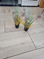 Kunstplanten van Intratuin, 2 stuks, Ophalen