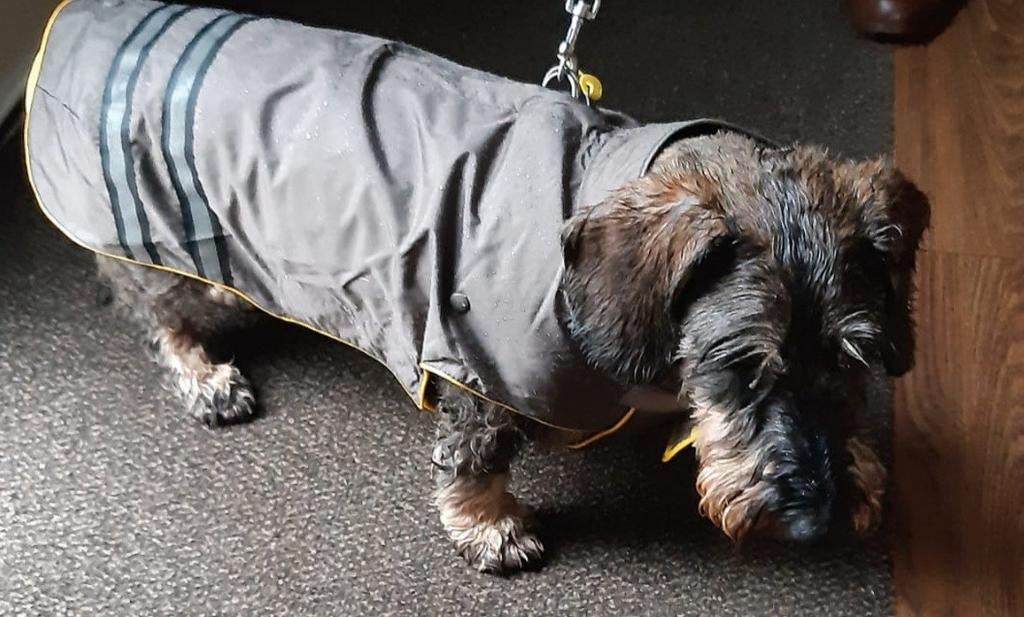 Hondenjasje Beeztees maat 44, Ophalen of Verzenden, Zo goed als nieuw, Hondenjas